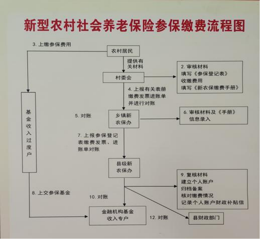 德州农村医保和社保有什么区别(农村医保跟社保的区别)